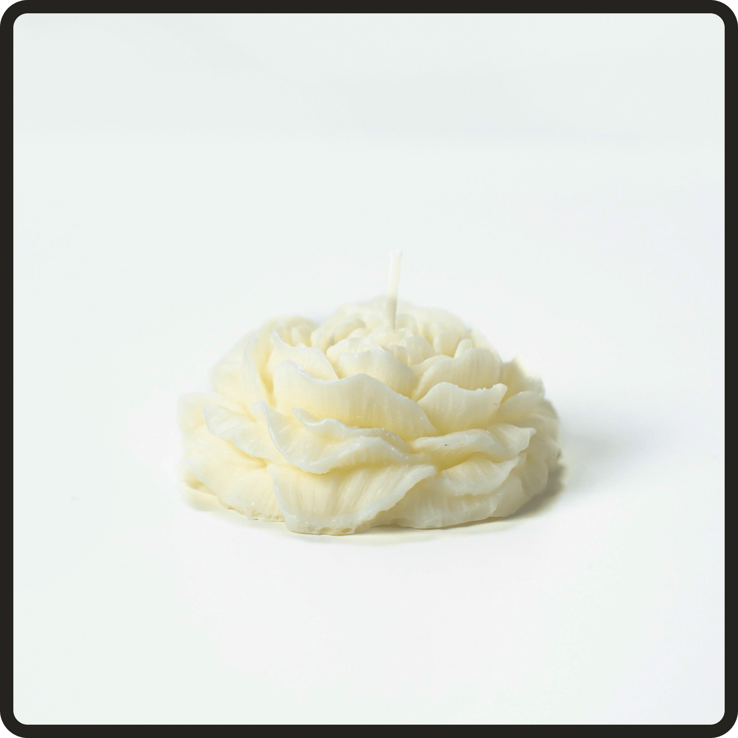 Peony Flower candle